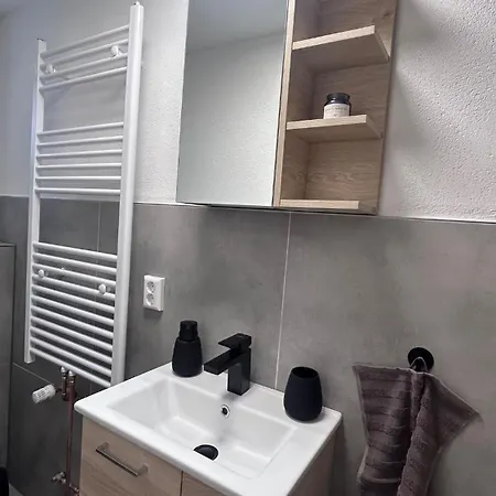 Appartamento Wellness Kniebis Mit Pool & Sauna