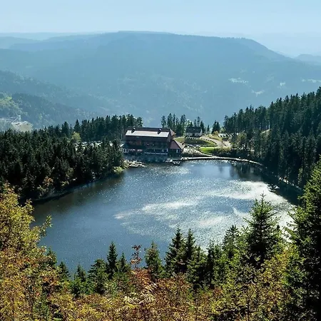 Appartamento Wellness Kniebis Mit Pool & Sauna