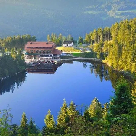 Wellness Kniebis Mit Pool & Sauna Appartamento *